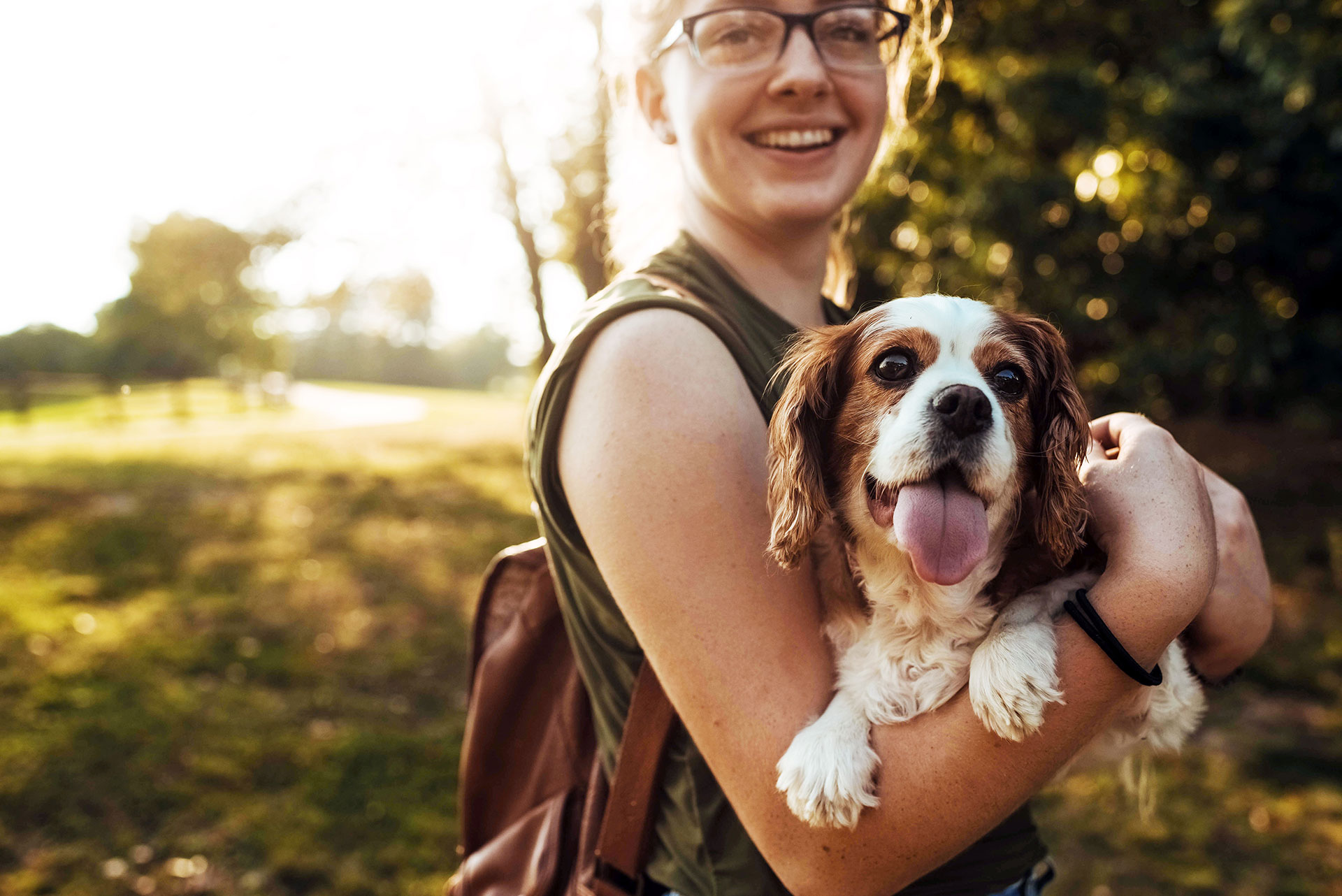 Dog Boarding